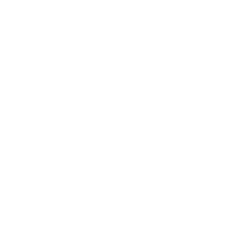 Laura Monteiro Tradução e Ensino