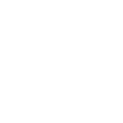Laura Monteiro Tradução e Ensino
